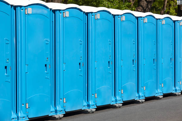 Best Standard Portable Toilet Rental  in Seneca, IL